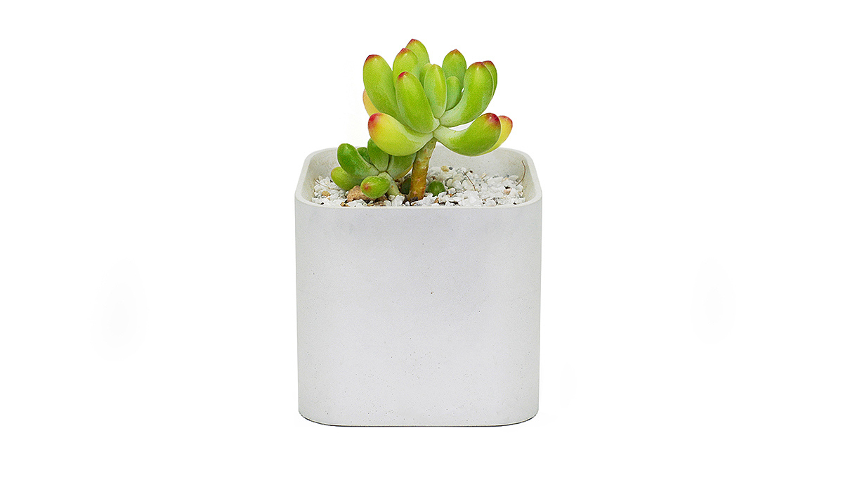 industrial design，product design，Botany，