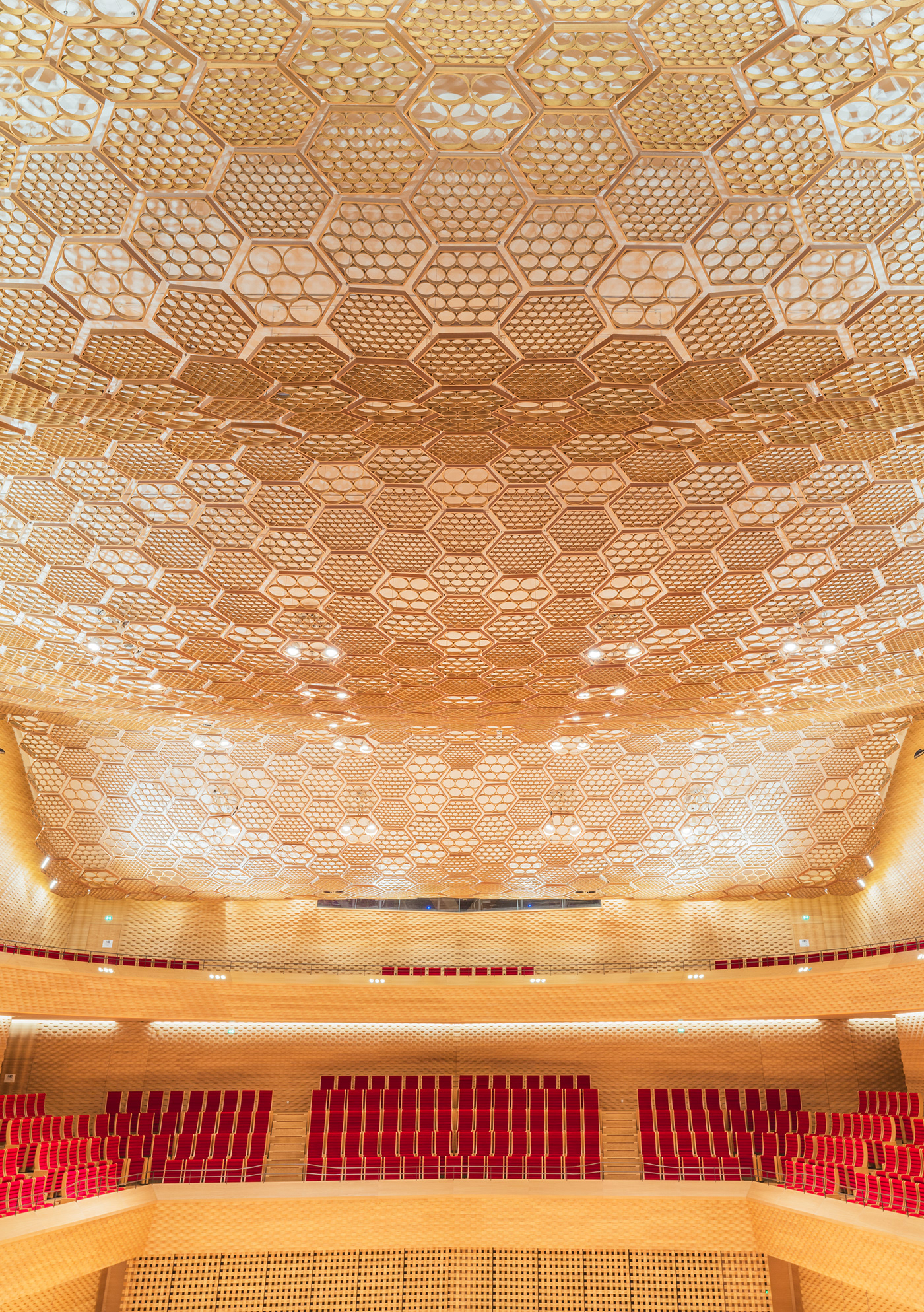 Orchestral architecture，Paris，Ludwig Favre，