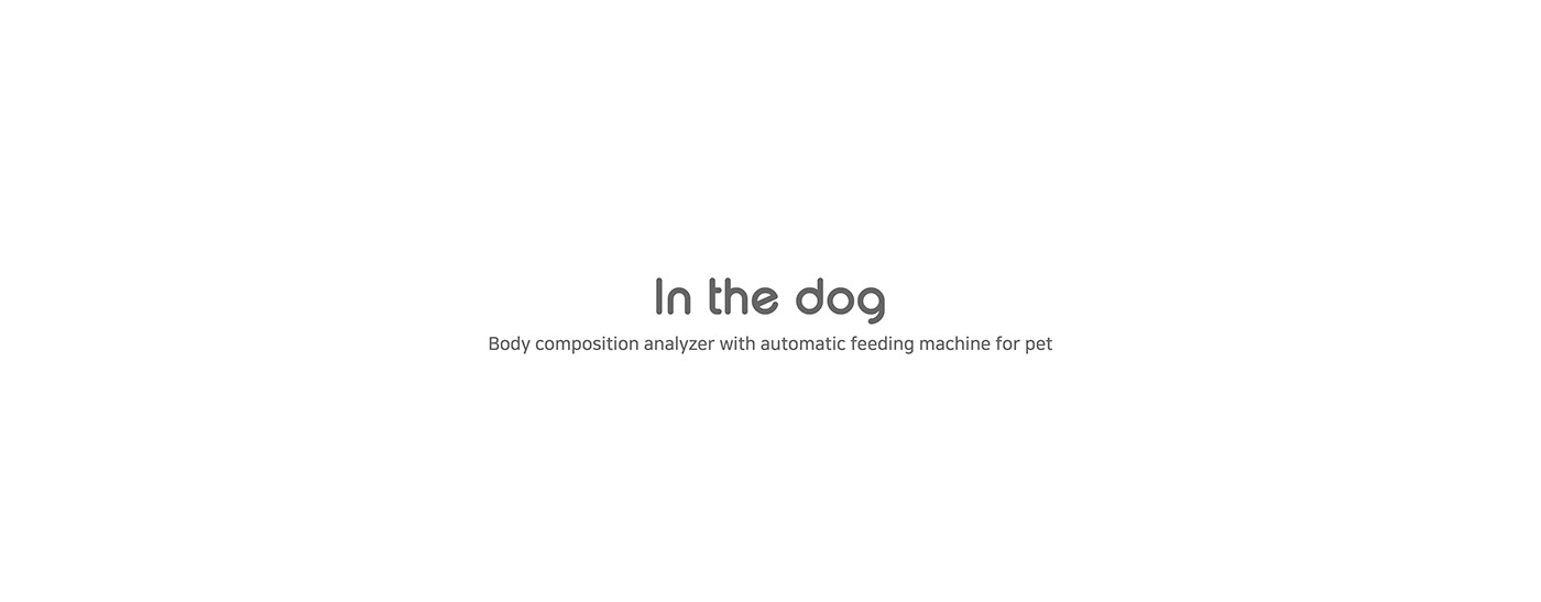 app，Feeder，automatic，Pets，In the dog，