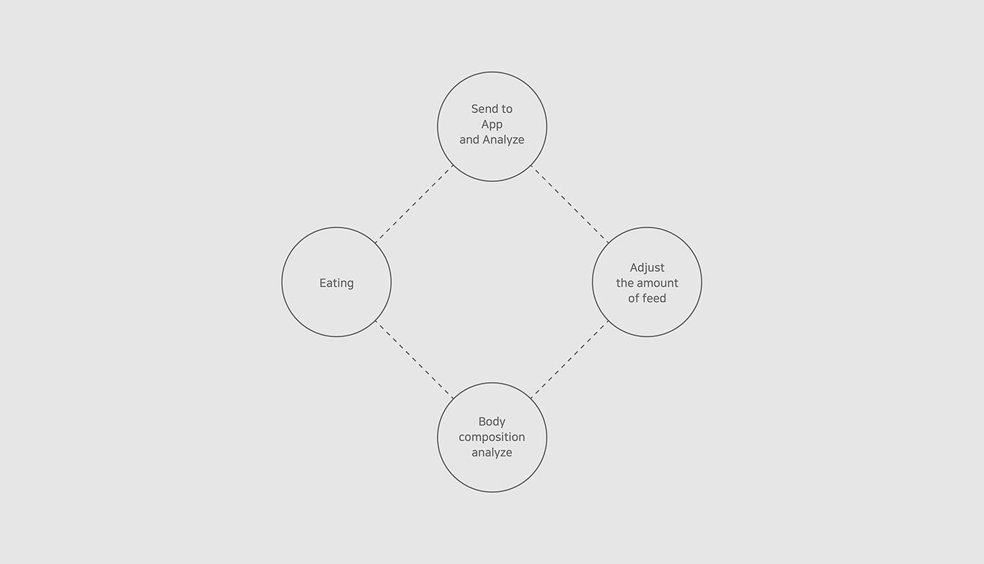 app，Feeder，automatic，Pets，In the dog，