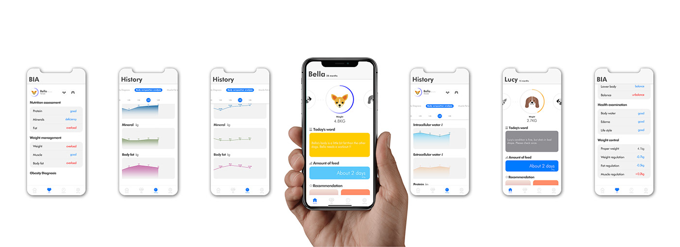 app，Feeder，automatic，Pets，In the dog，