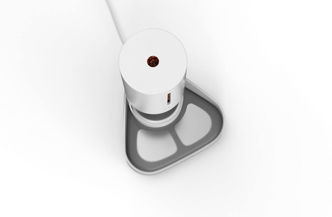 app，Feeder，automatic，Pets，In the dog，