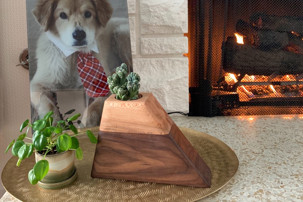 originality，Flowerpot，The cinerary casket，Plants，