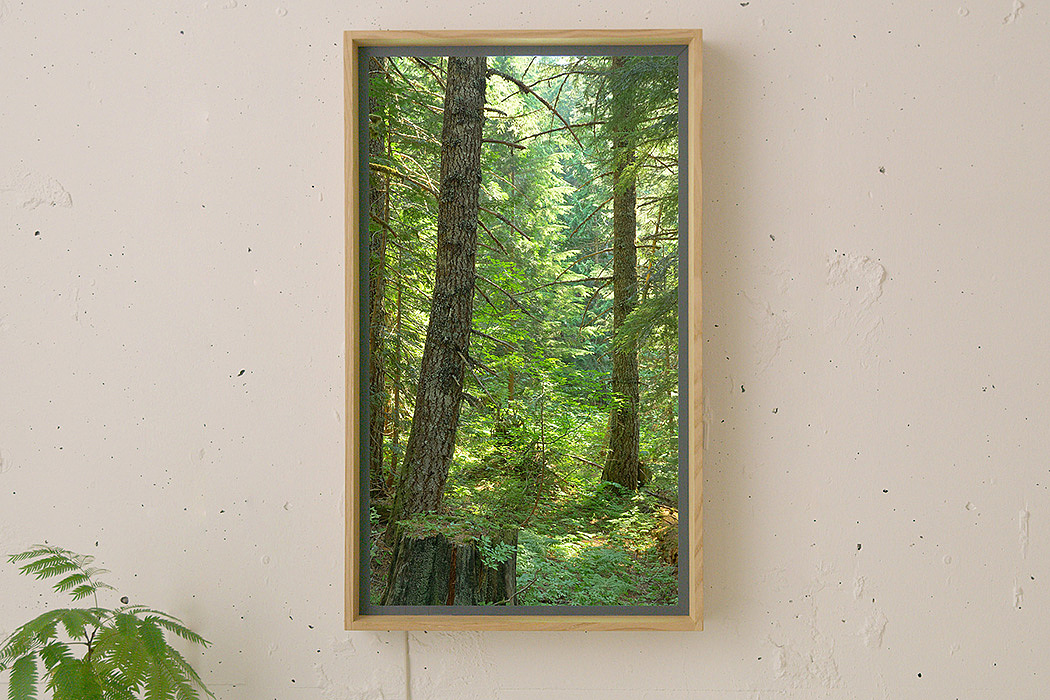 Ryota Yokozeki，Atmoph Window 2，window，display，
