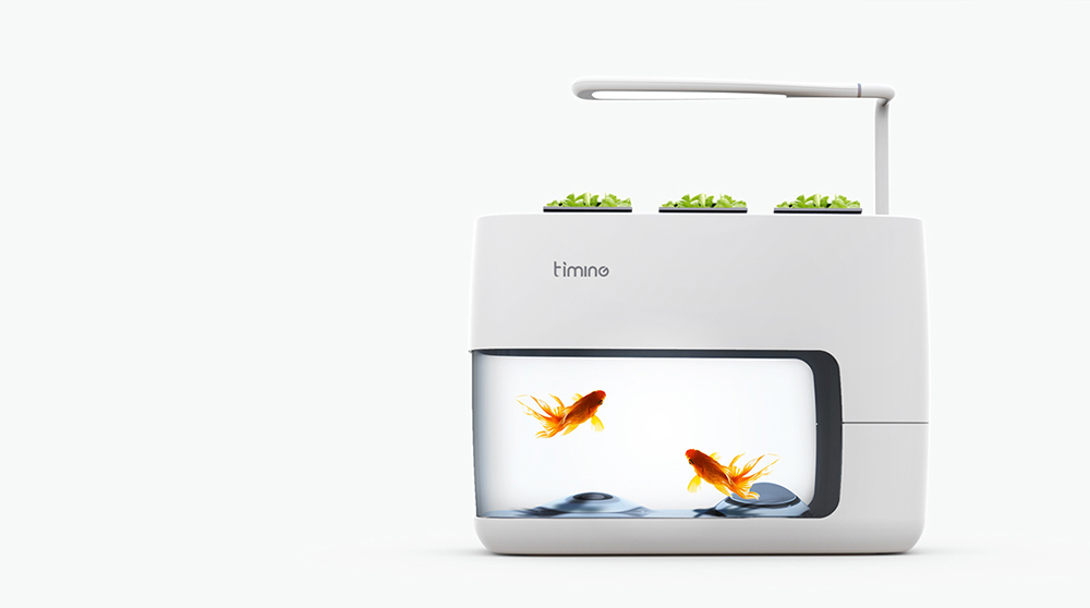 concise，product design，fish tank，ecology，