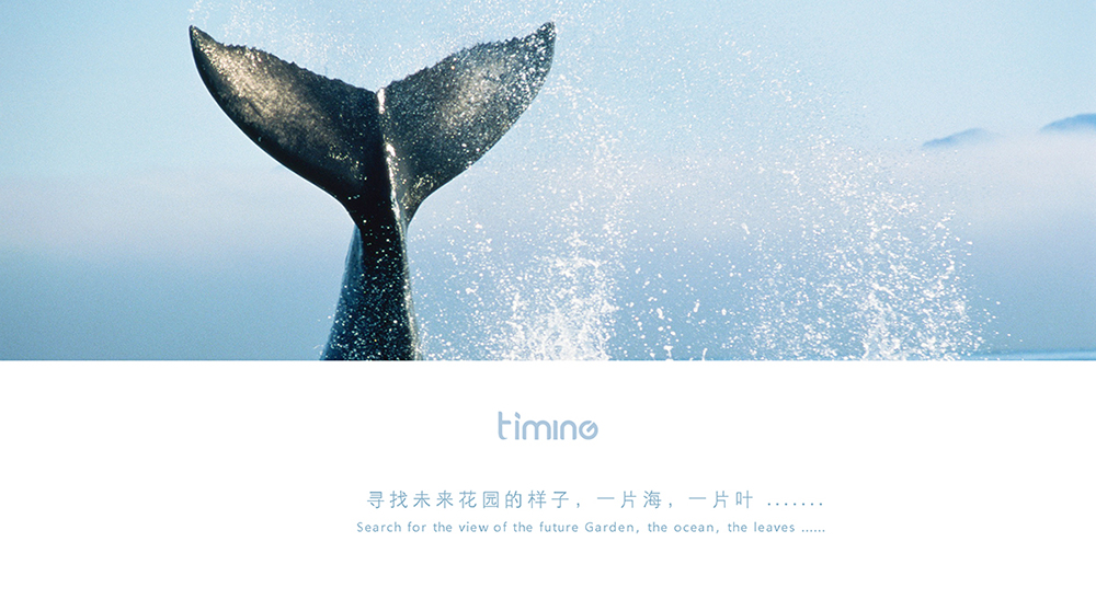 concise，product design，fish tank，ecology，