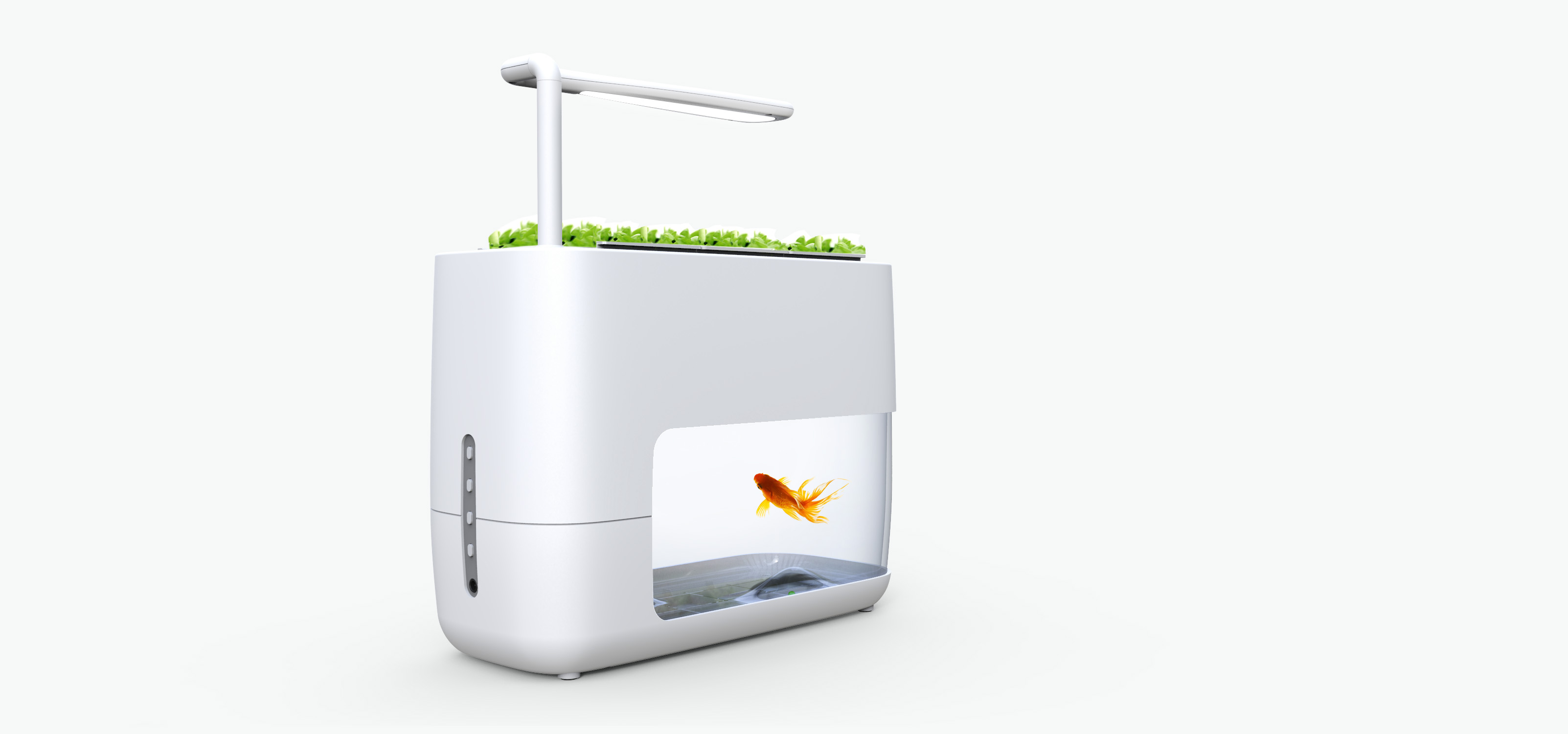 concise，product design，fish tank，ecology，