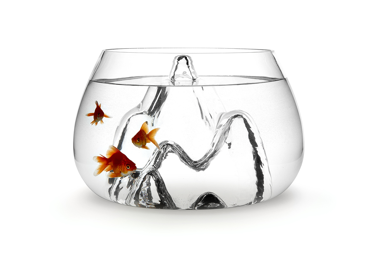 fish tank，originality，Home Furnishing，Ornaments，Glass products，