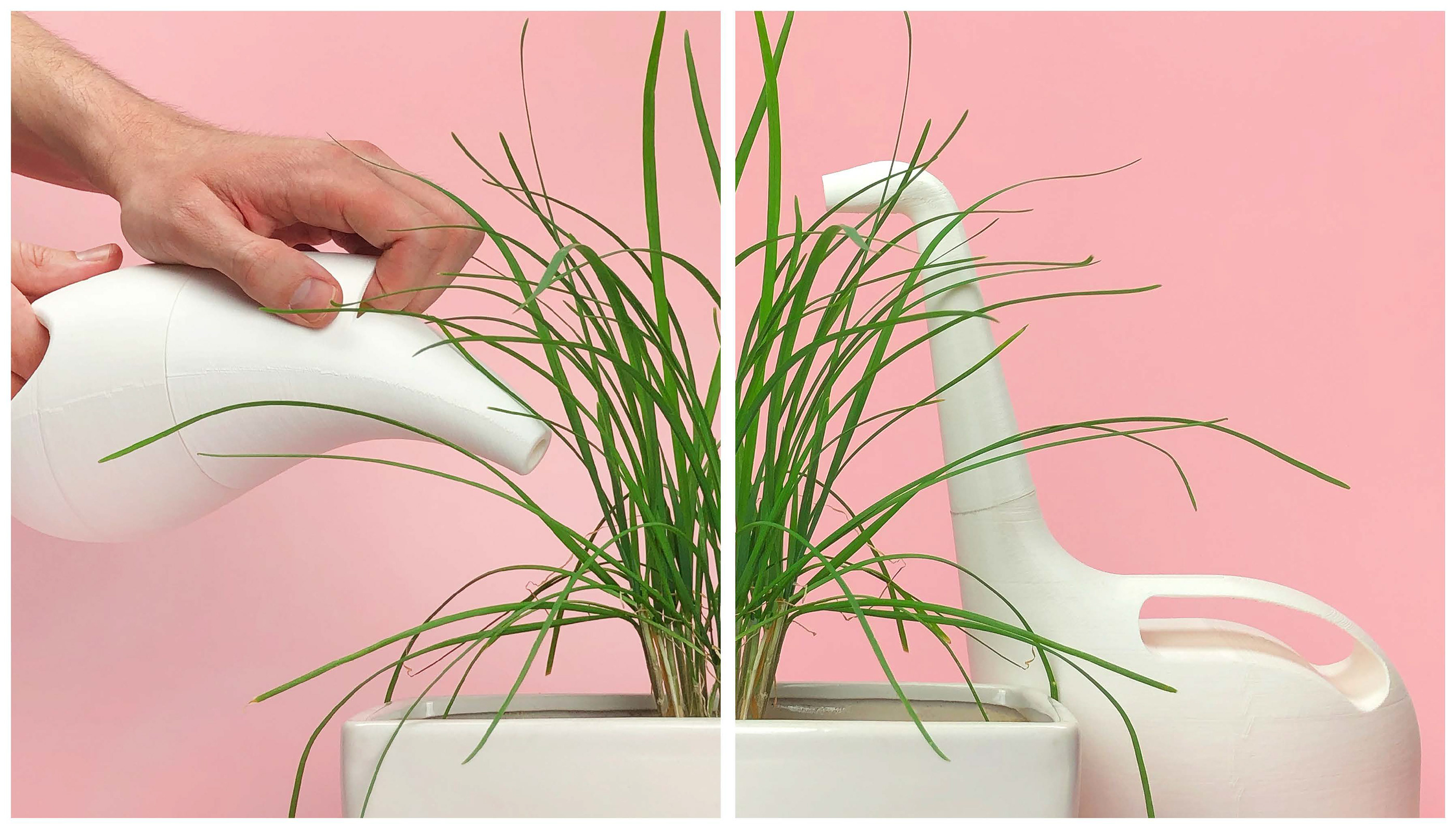 Watering，geometry，modeling，Gardening tools，