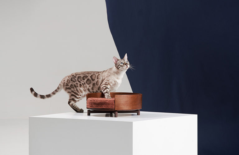 Three Poles，Cat jumping platform，Kitty，Pets，