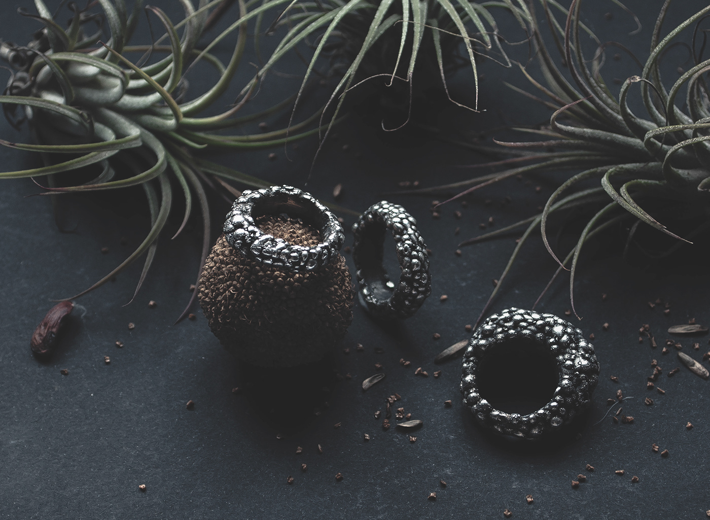 ornaments，Dayana Kazakova，BOOST，Earrings，Ring，Accessories，