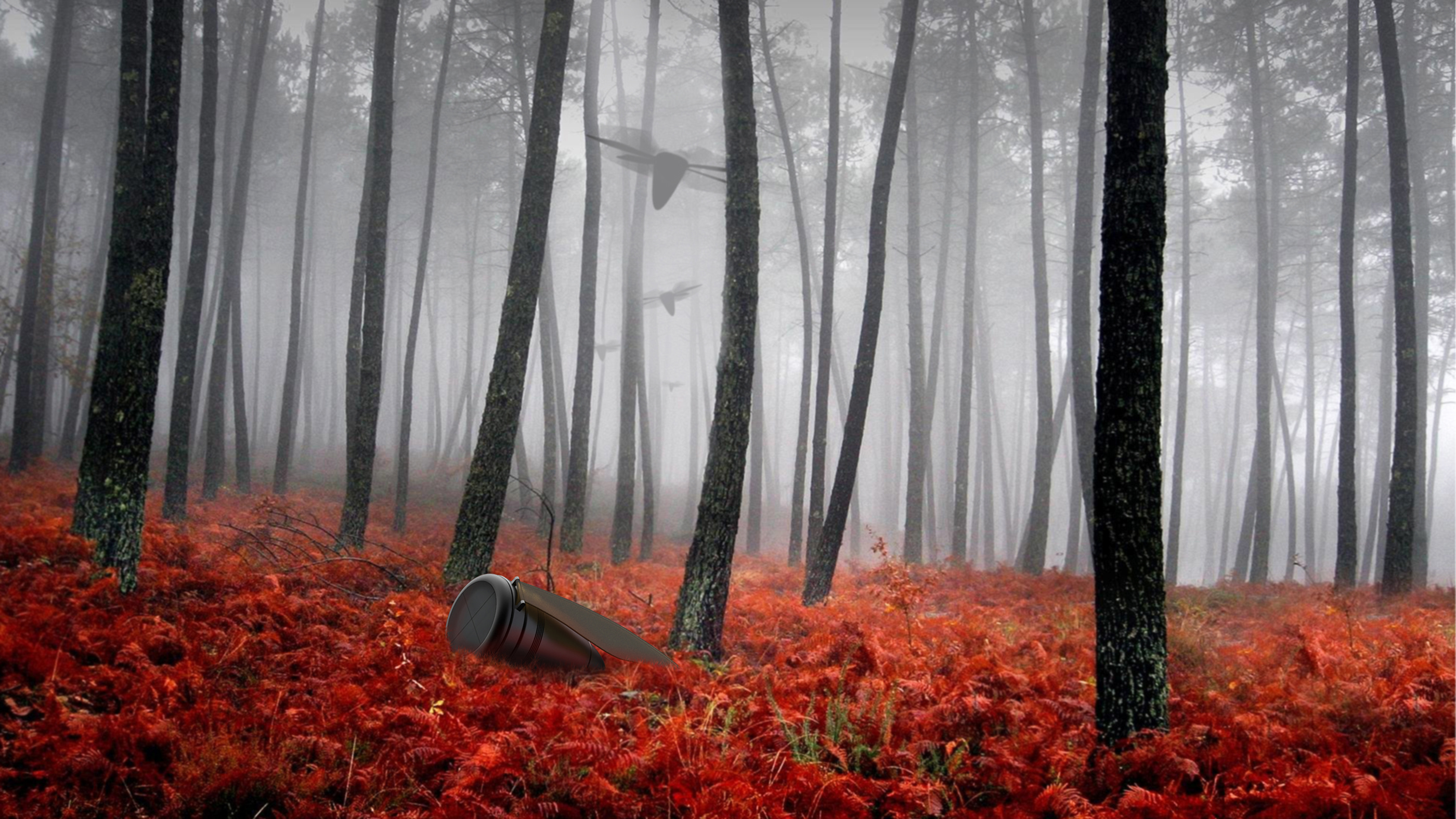 Hand drawn，product，sample reels，