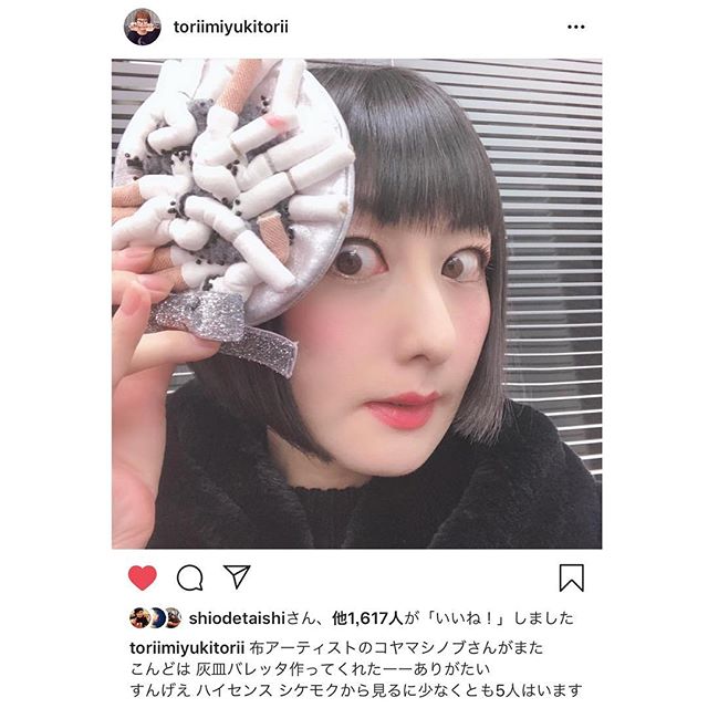 Koyama shiknoku，Canvas bag，Teapot bag，Cloth artist，cloth，