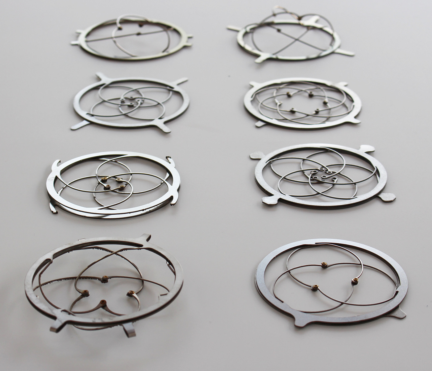 Plants，Leg Tower，Botany，