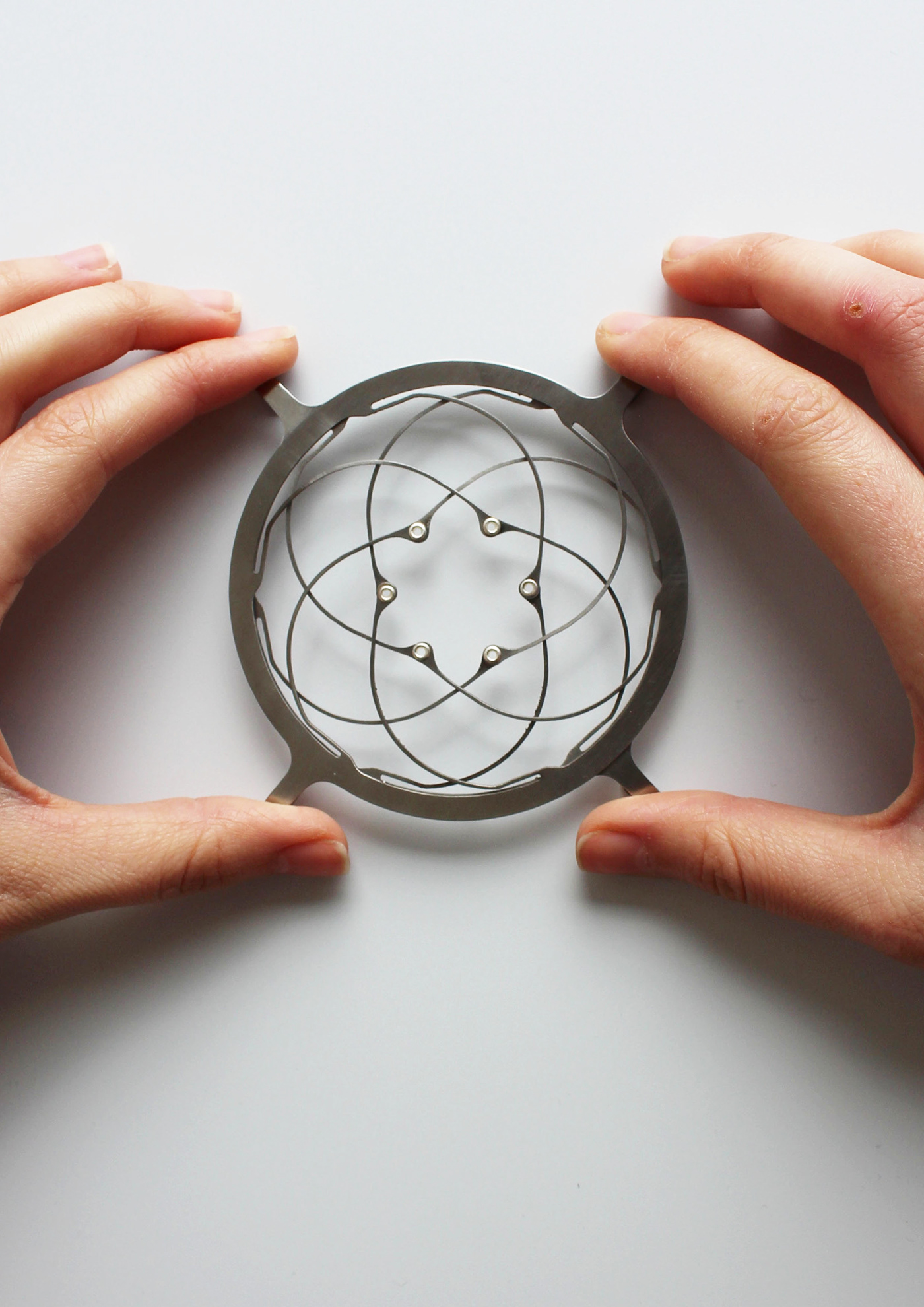 Plants，Leg Tower，Botany，