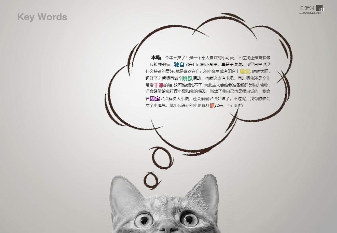 Home Furnishing，furniture，Pet products，