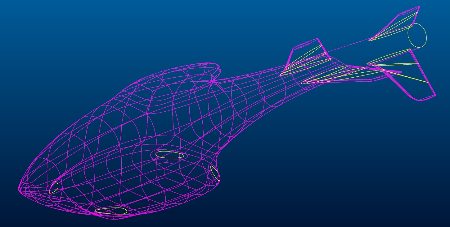 Remote control helicopter F3C，