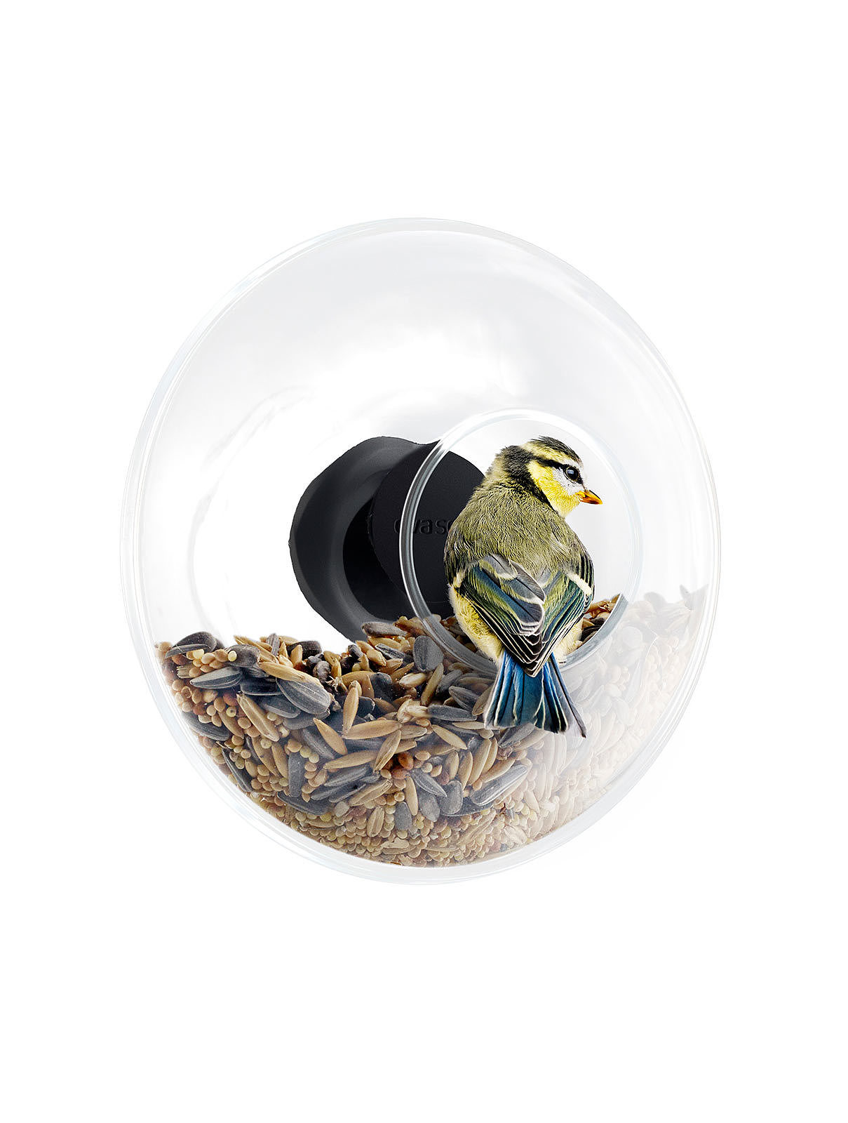 Bird feeder，Glassware，Home Furnishing，originality，decorate，