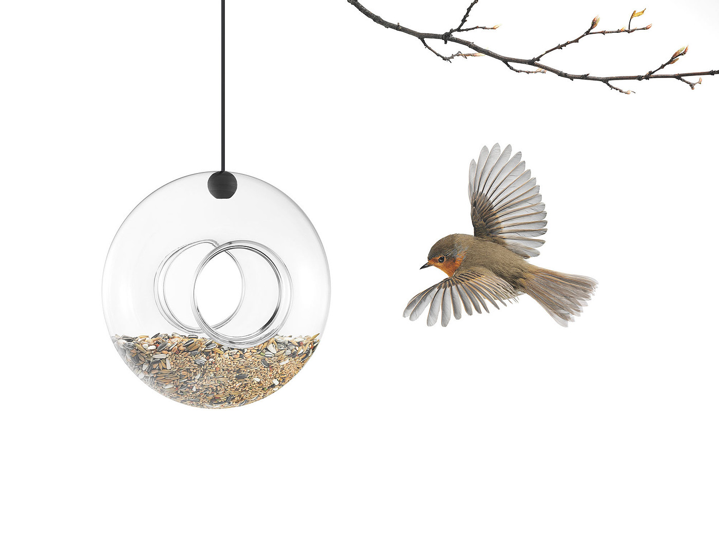 Bird feeder，Glassware，Home Furnishing，originality，decorate，