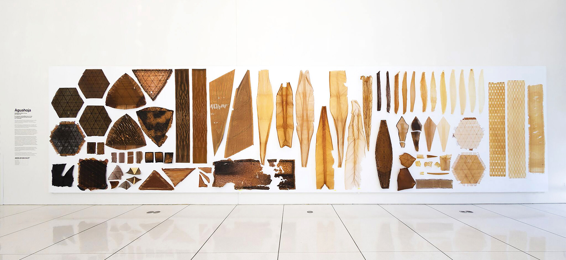 Digital design，Sculpture design，Aguahoja，