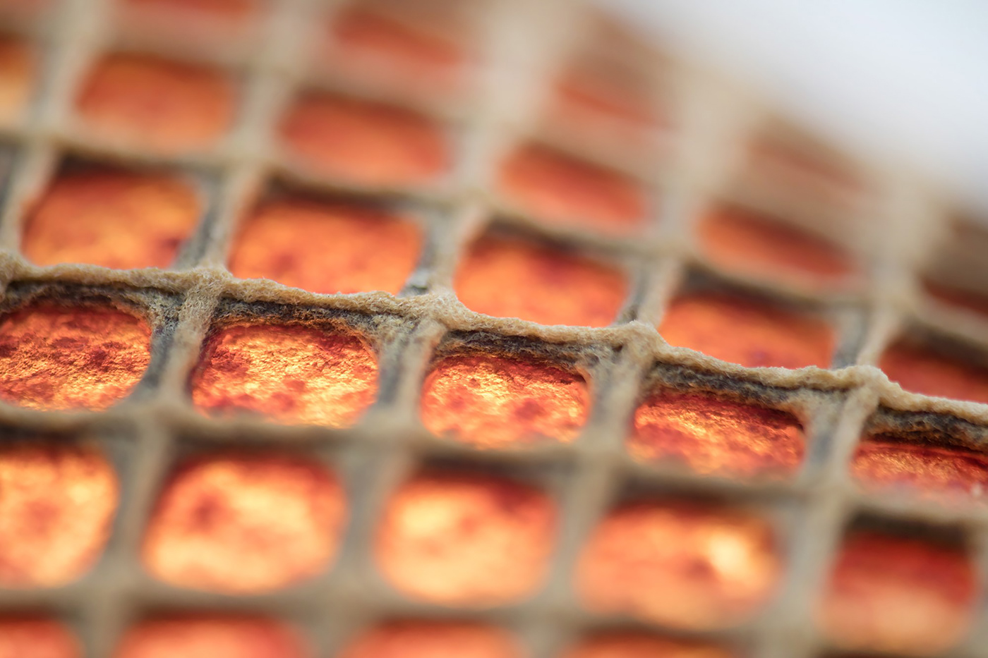 Digital design，Sculpture design，Aguahoja，