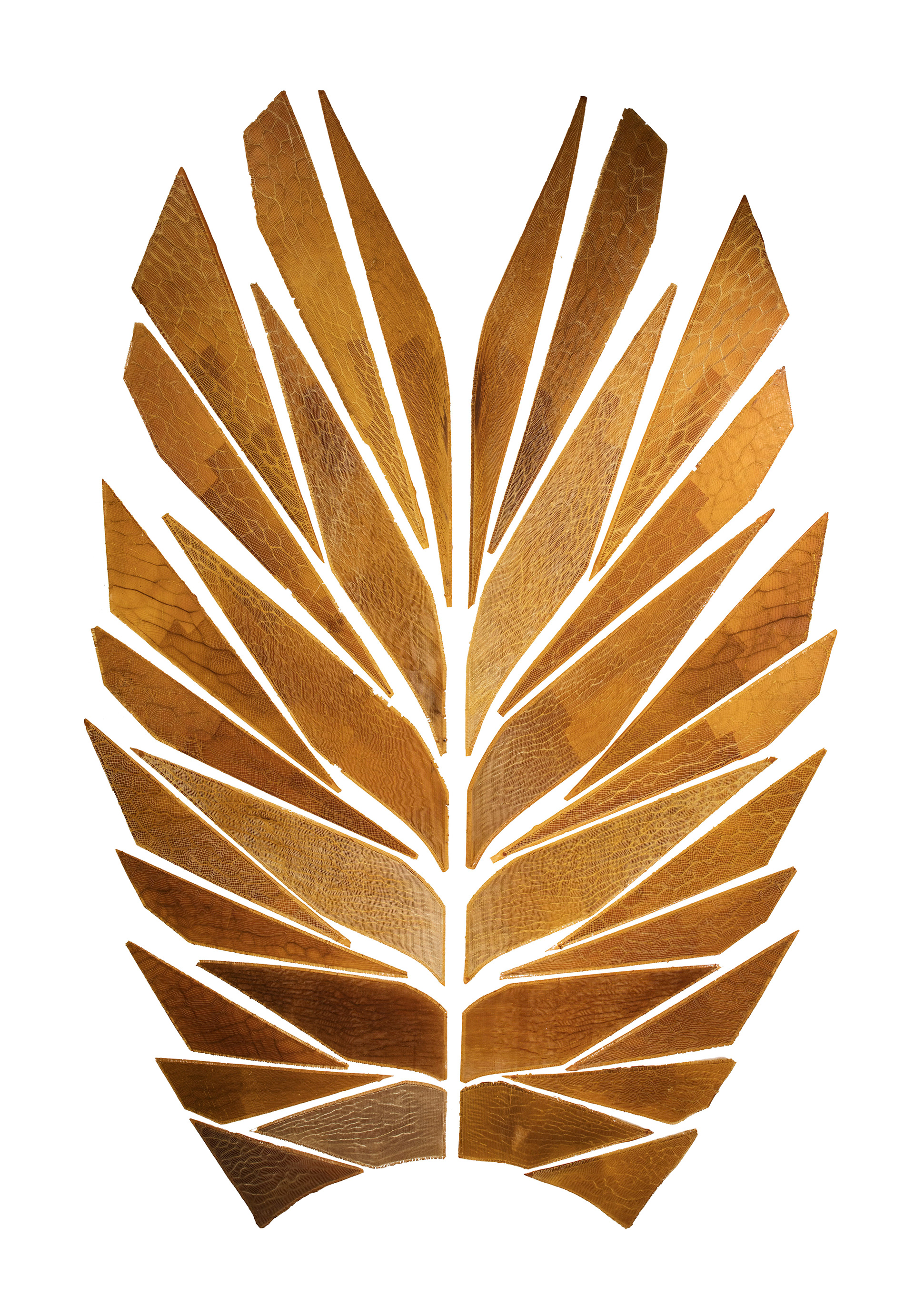 Digital design，Sculpture design，Aguahoja，