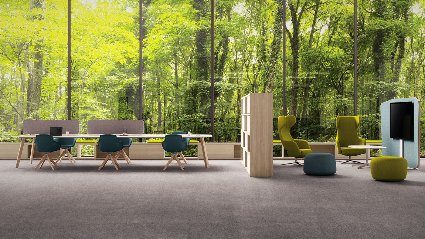 desk，partition，RNDR study，