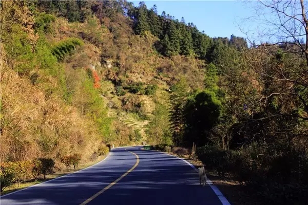 recruit，Industrial design recruitment，