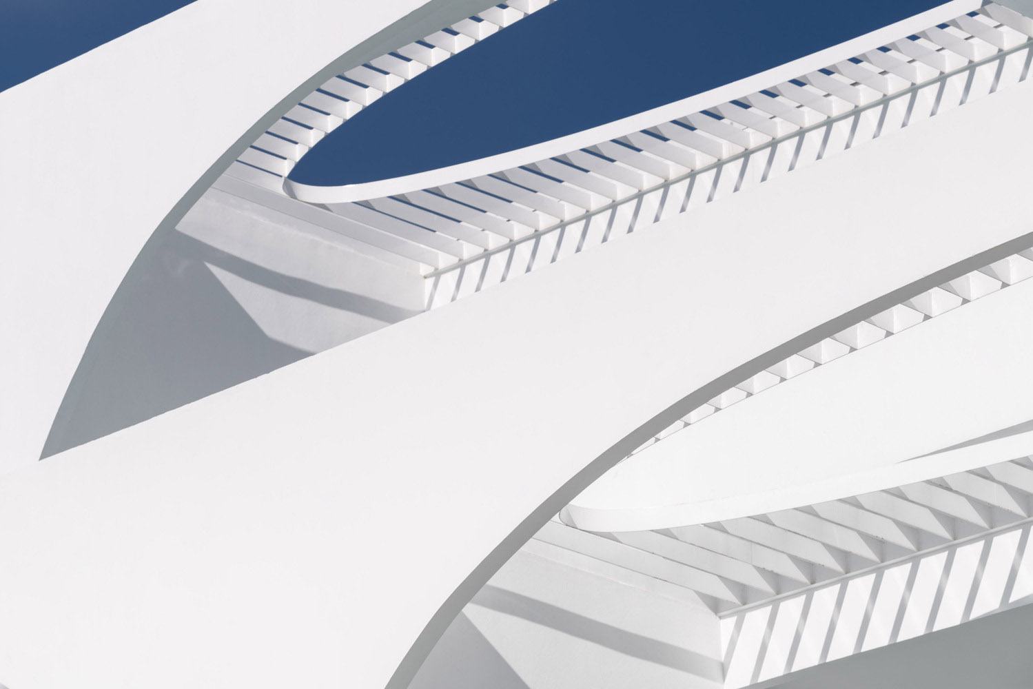 white，hotel，Architectural design，