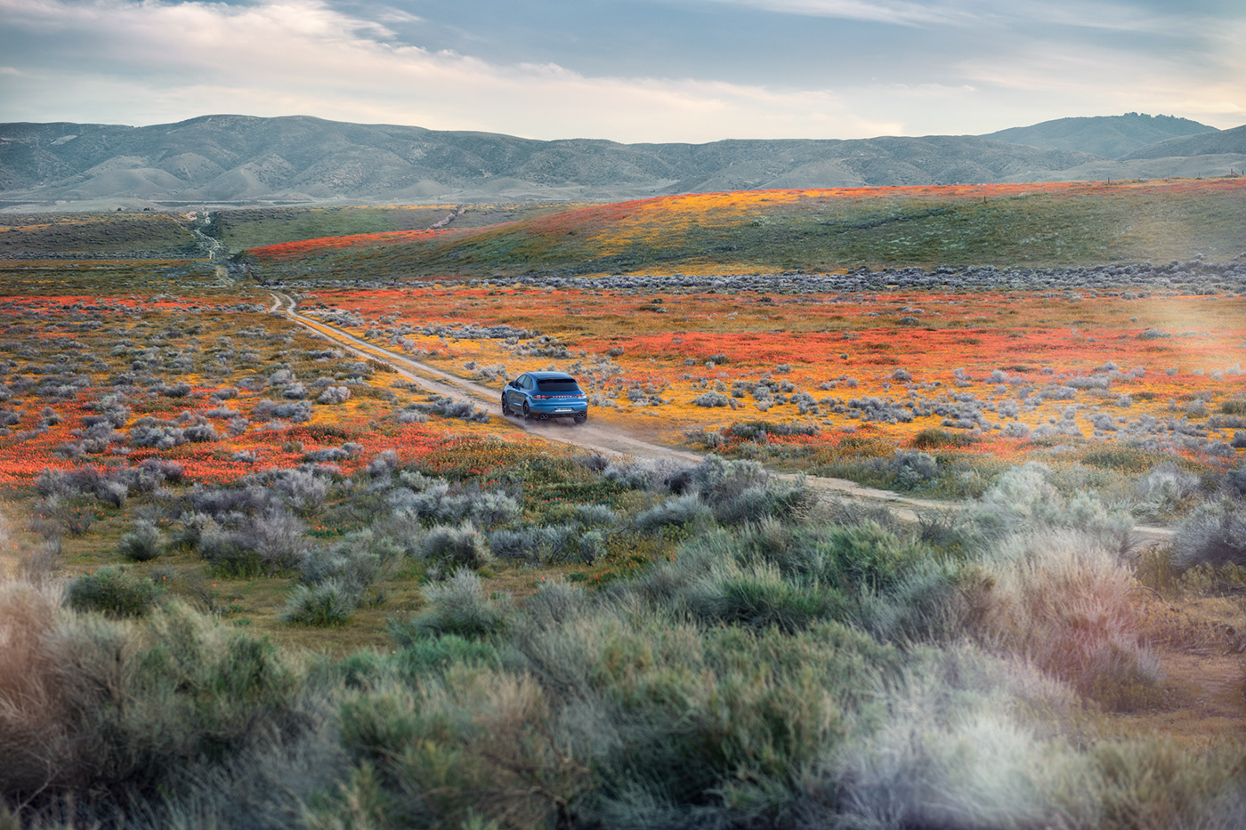 suv，Porsche，automobile，