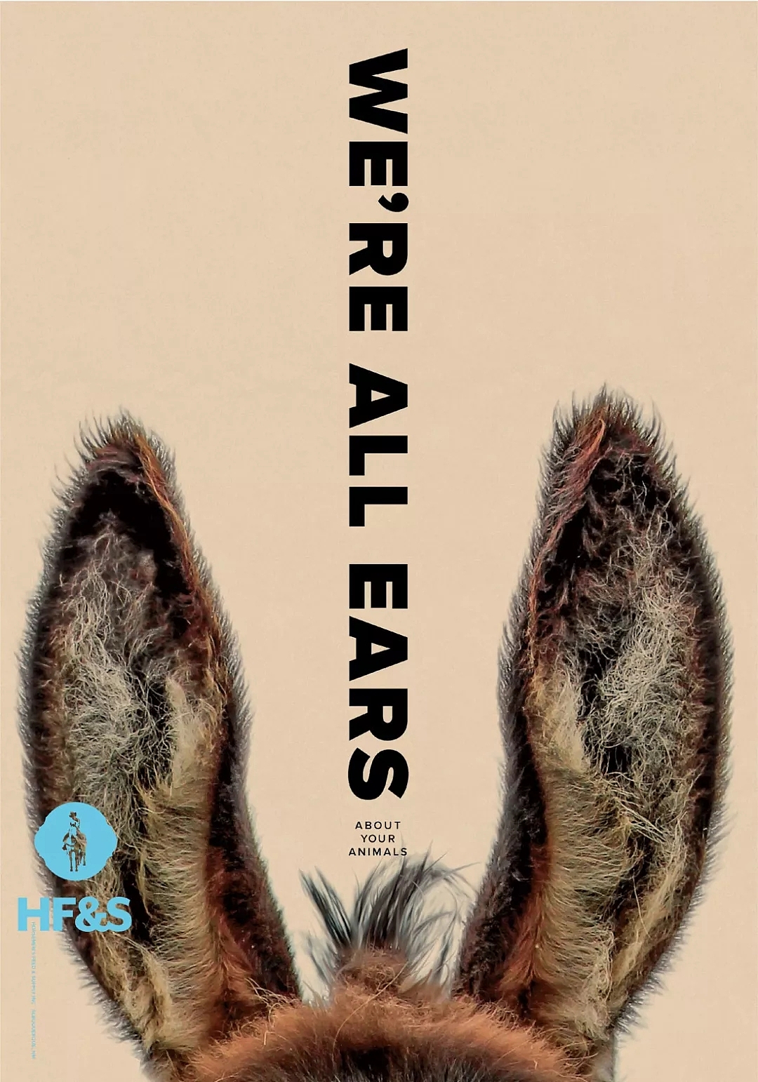 dried food，poster，Typesetting，element，innovate，