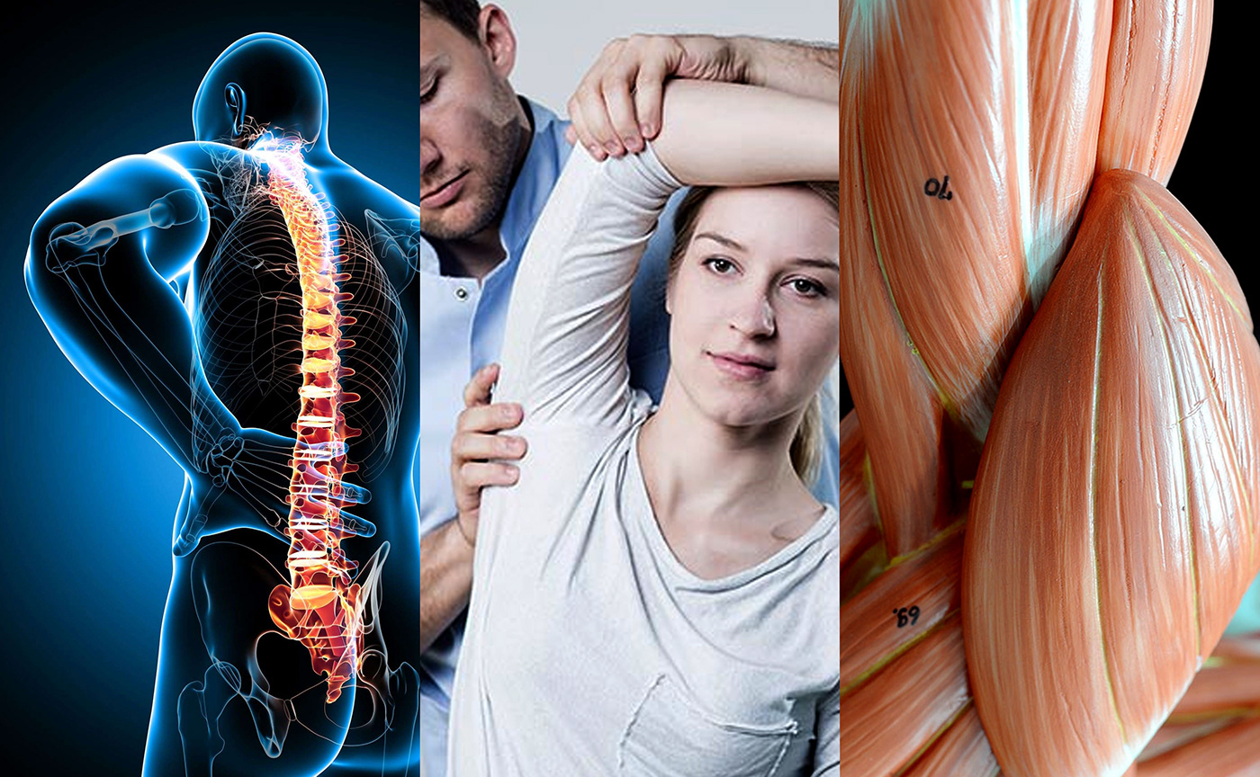 train，recovery，Marrko Warrior，Prokop Strnka，