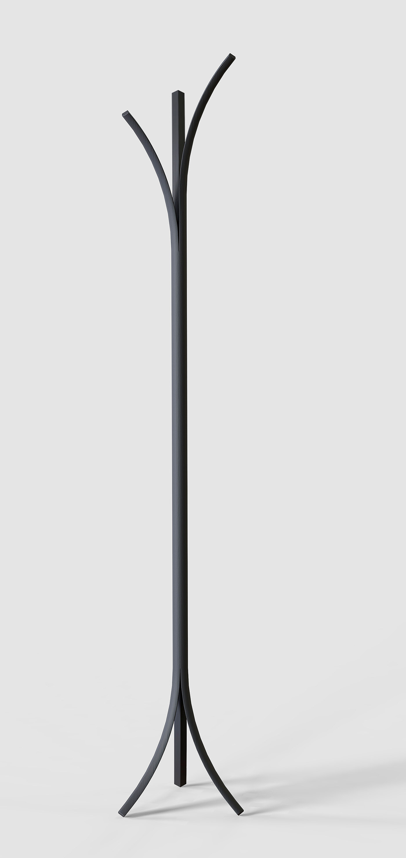 Simplicity，wood，PALM_coat，coat hanger，Prokop Strnka，