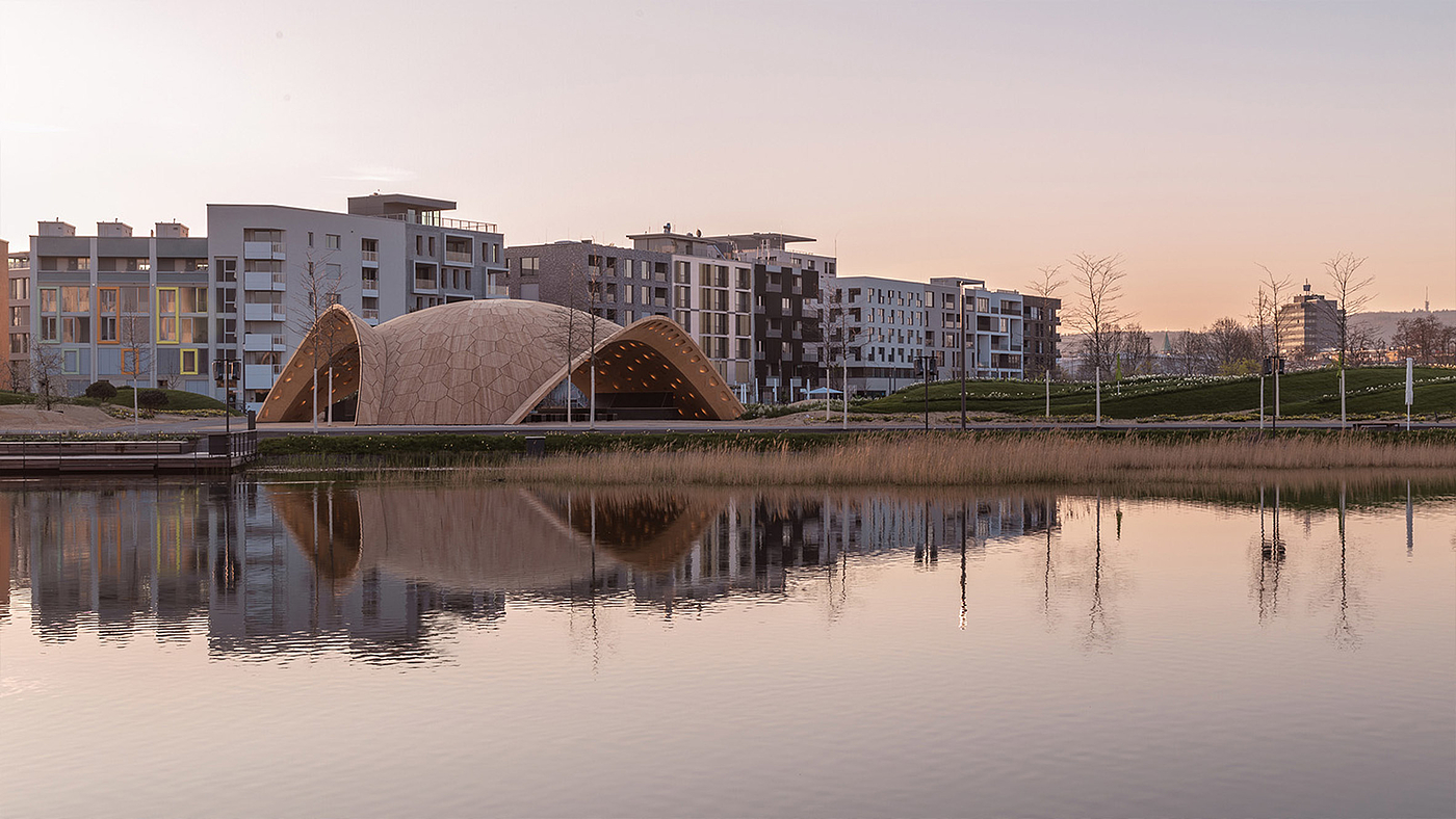 beetle，bionics，Stuttgart，