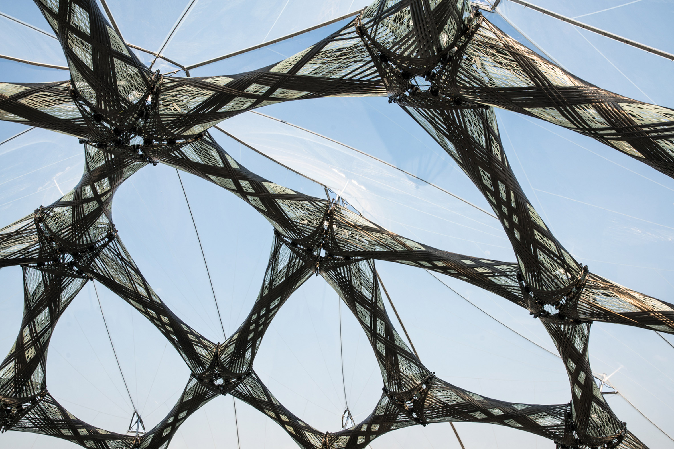 beetle，bionics，Stuttgart，