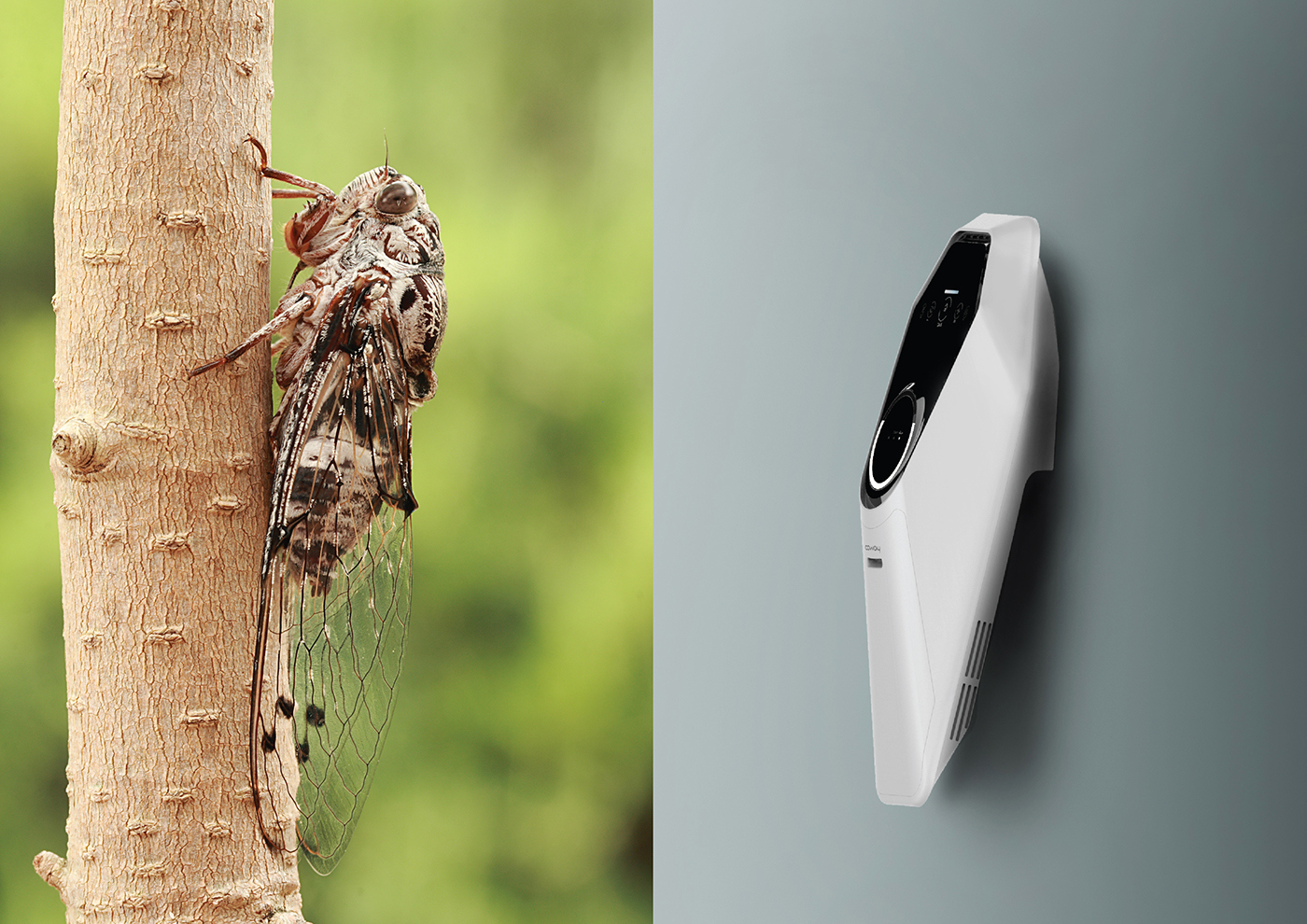 Hanging type，Appearance design from cicada，Simplicity，Touch screen design，