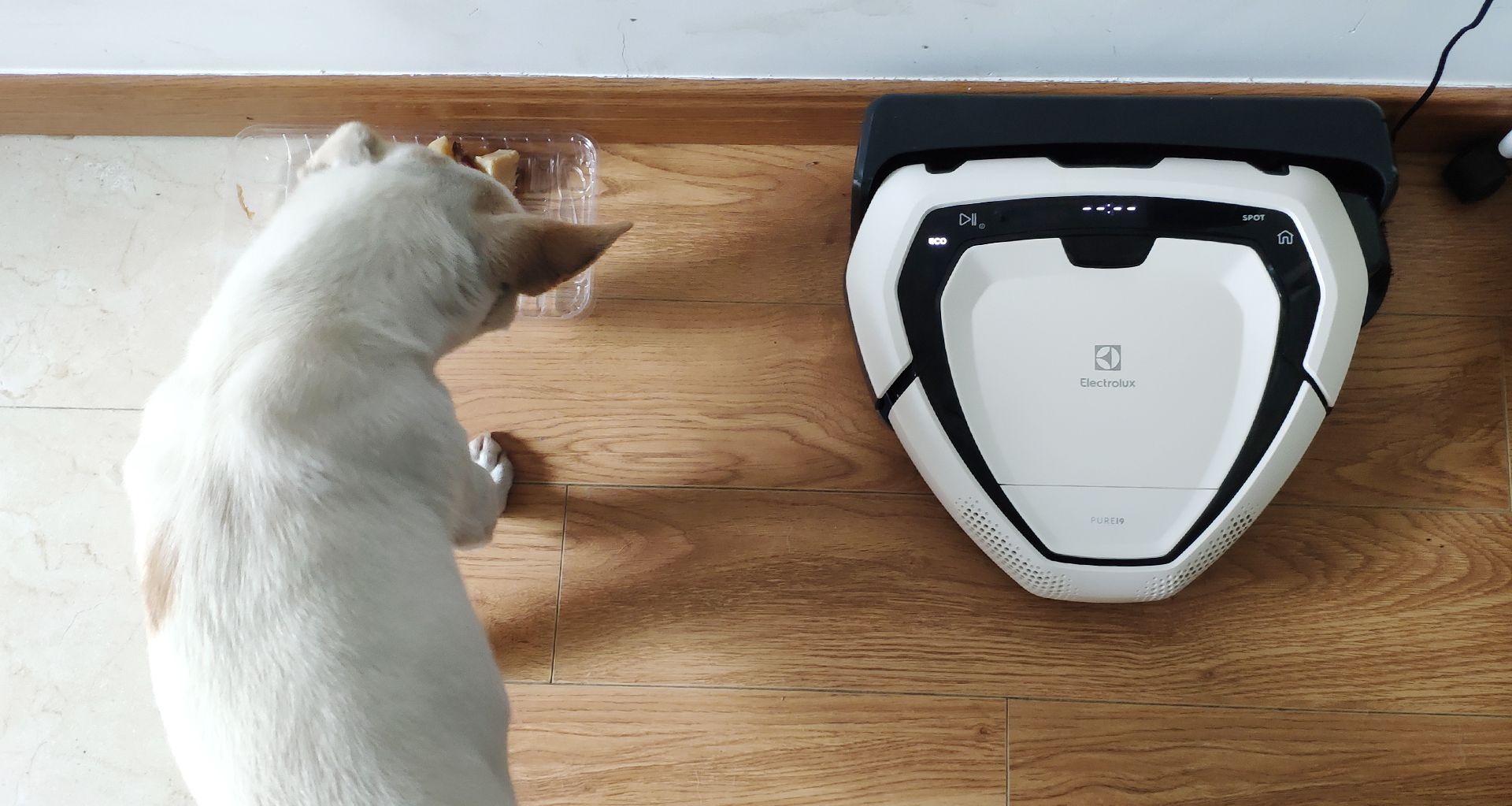 General image evaluation，Electrolux，Sweeping robot，Product evaluation，pure i8，