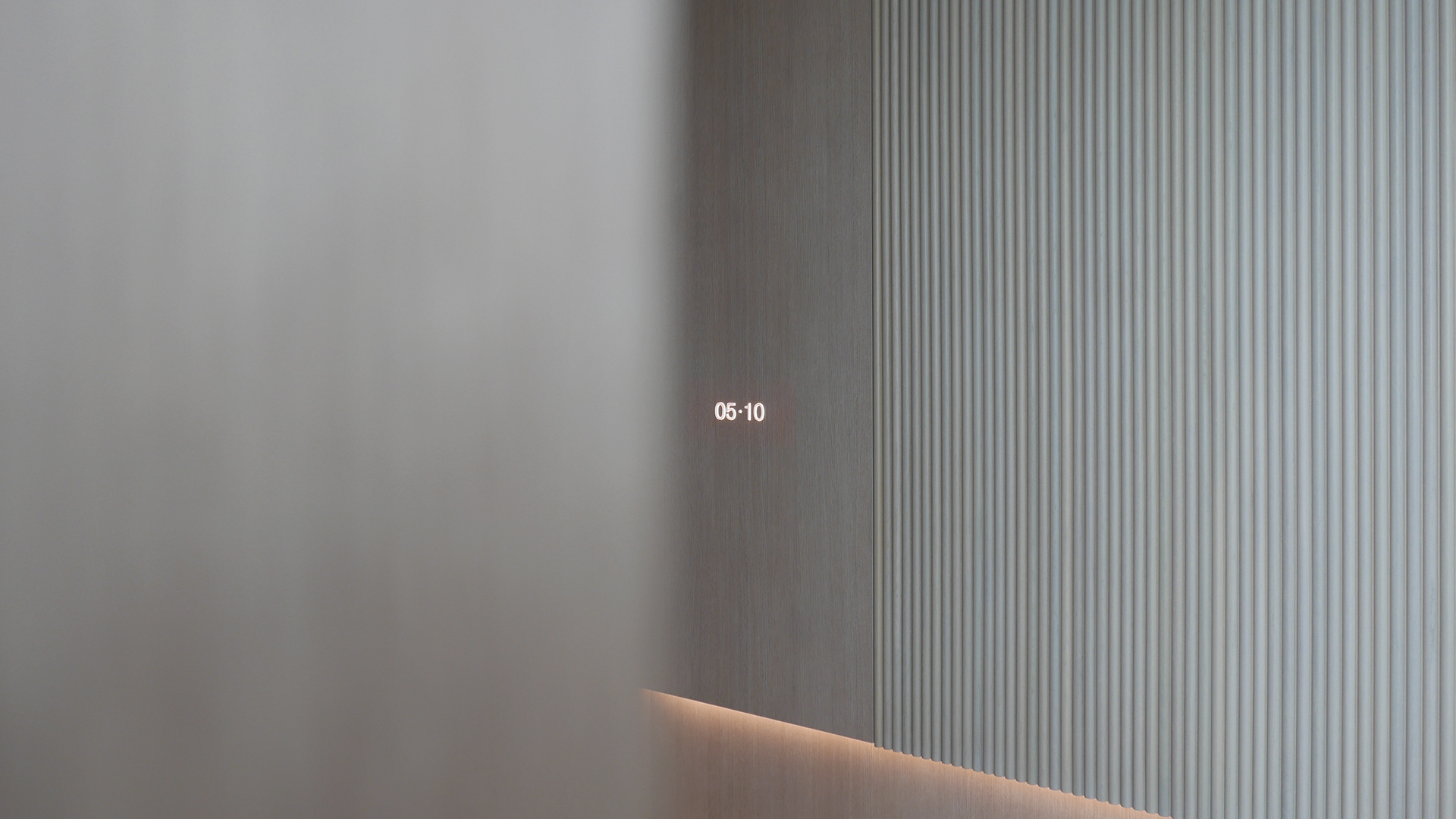 white，Interior design，Corals，