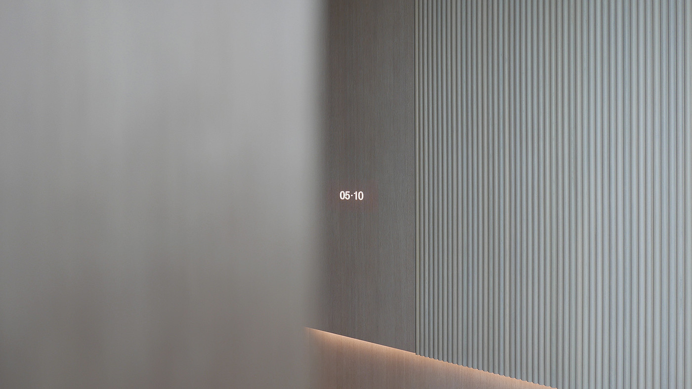 white，Interior design，Corals，