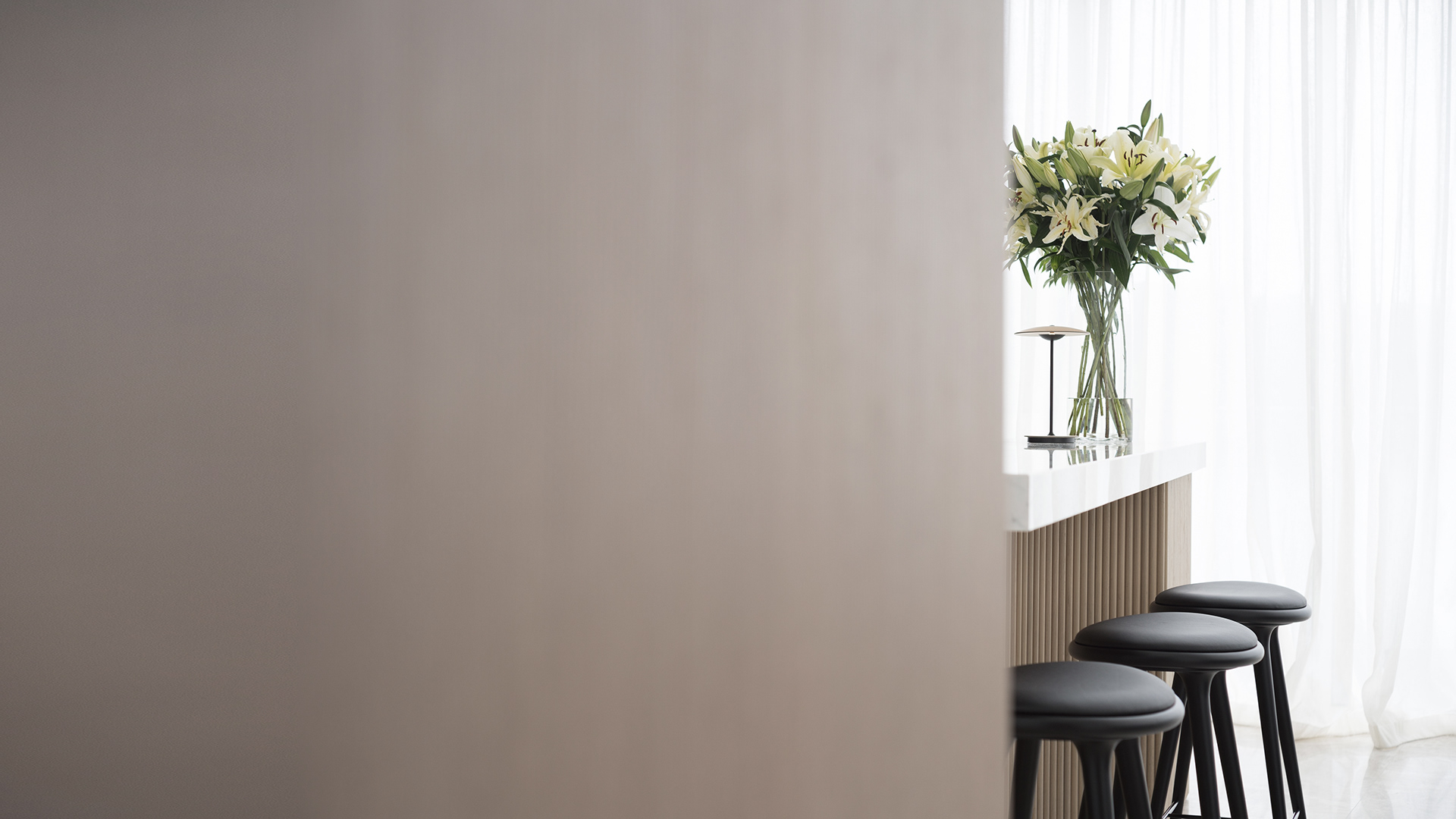 white，Interior design，Corals，