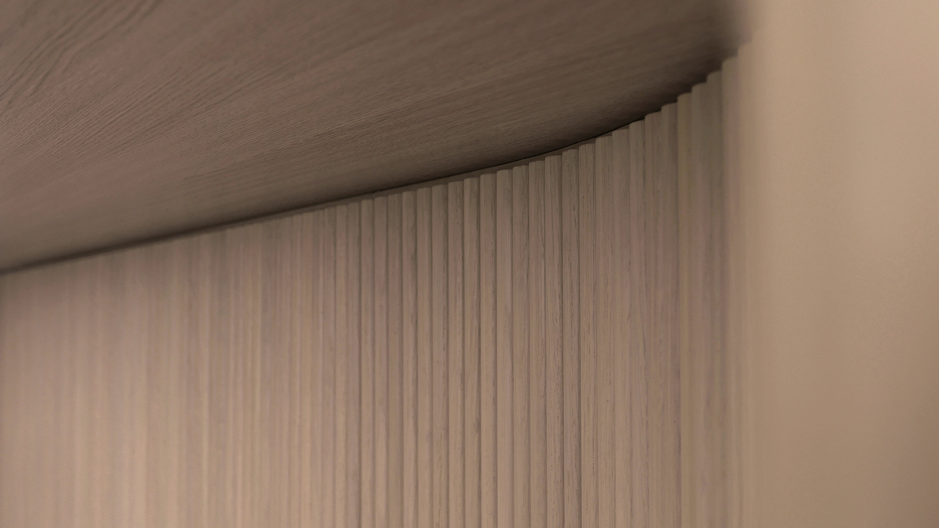 white，Interior design，Corals，