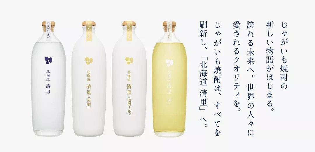 Graphic Artist Designer，Rubell，MUJI，website，Toyota，