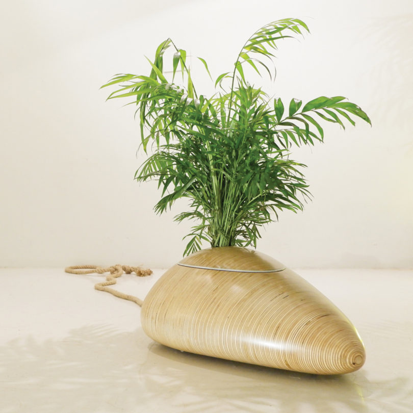 two thousand and nineteen，furniture，prize winner，