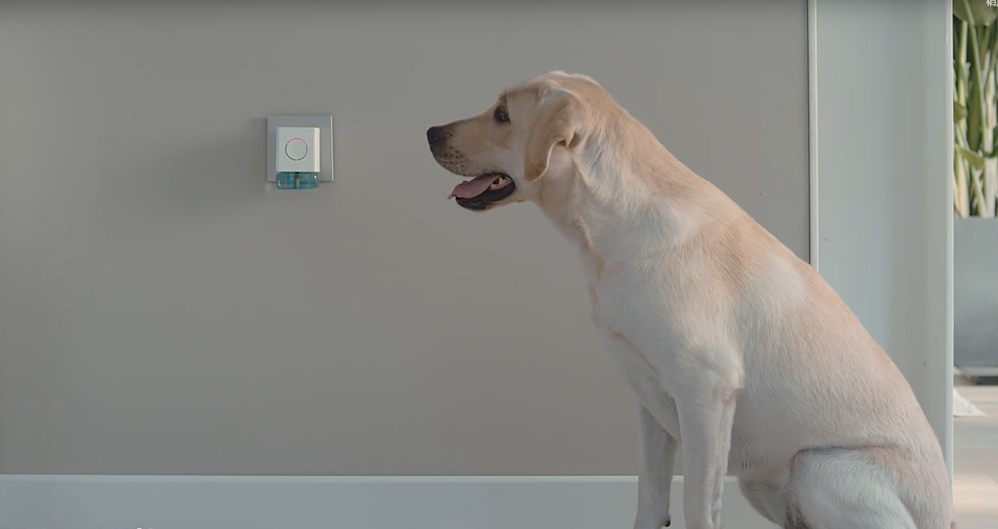 sophia lpy，app，Singapore，Pets，Dog，Henkel，Mosquito control，