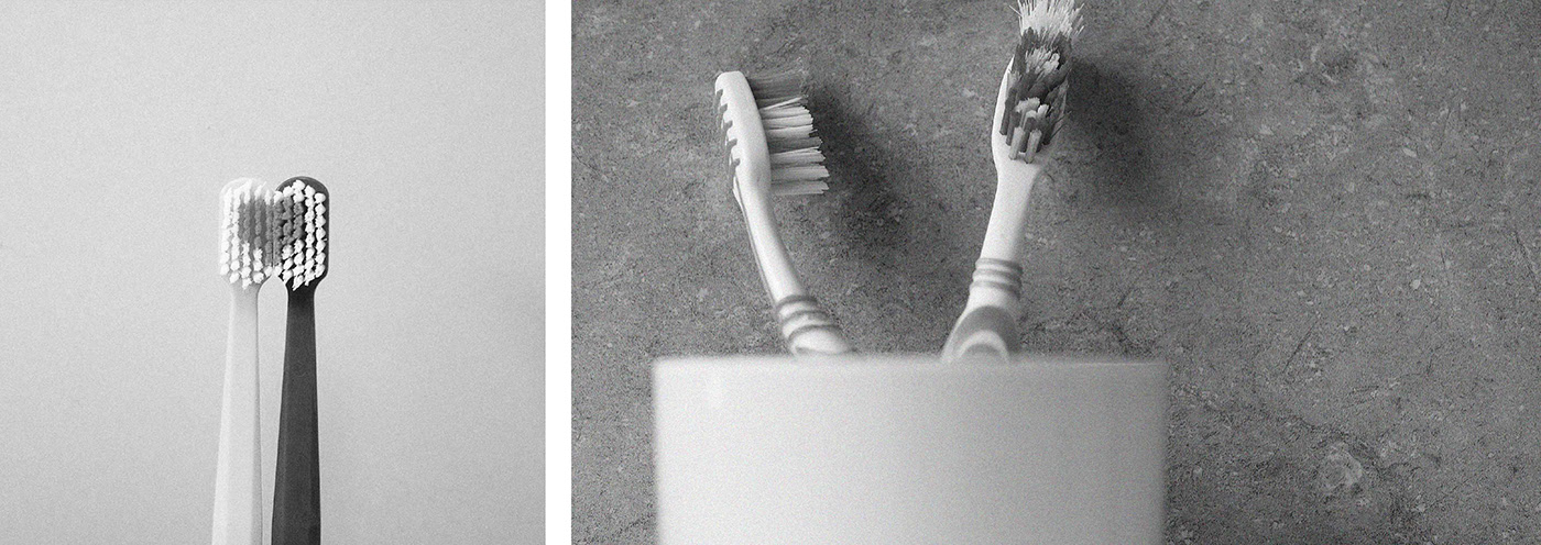 toothbrush，goose，the republic of korea，