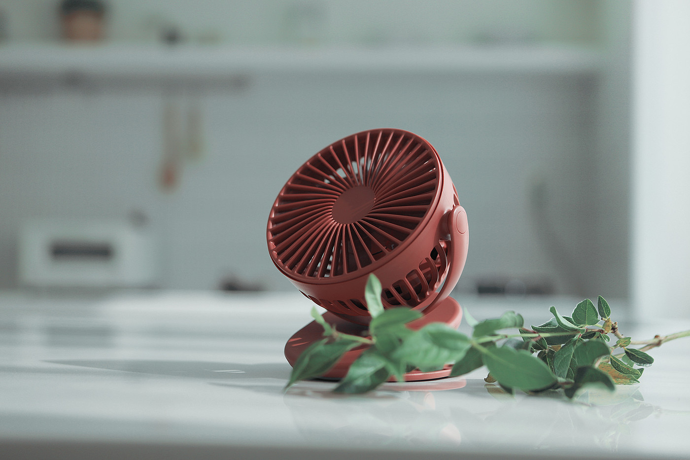 Fan，