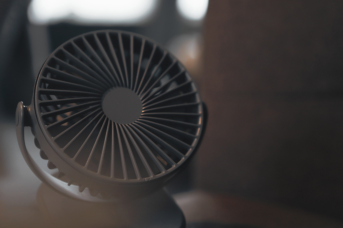 Fan，