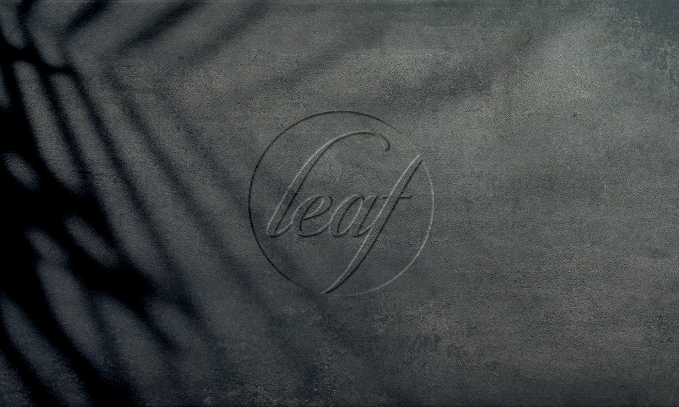 Leaf，soup spoon，tea，packing，