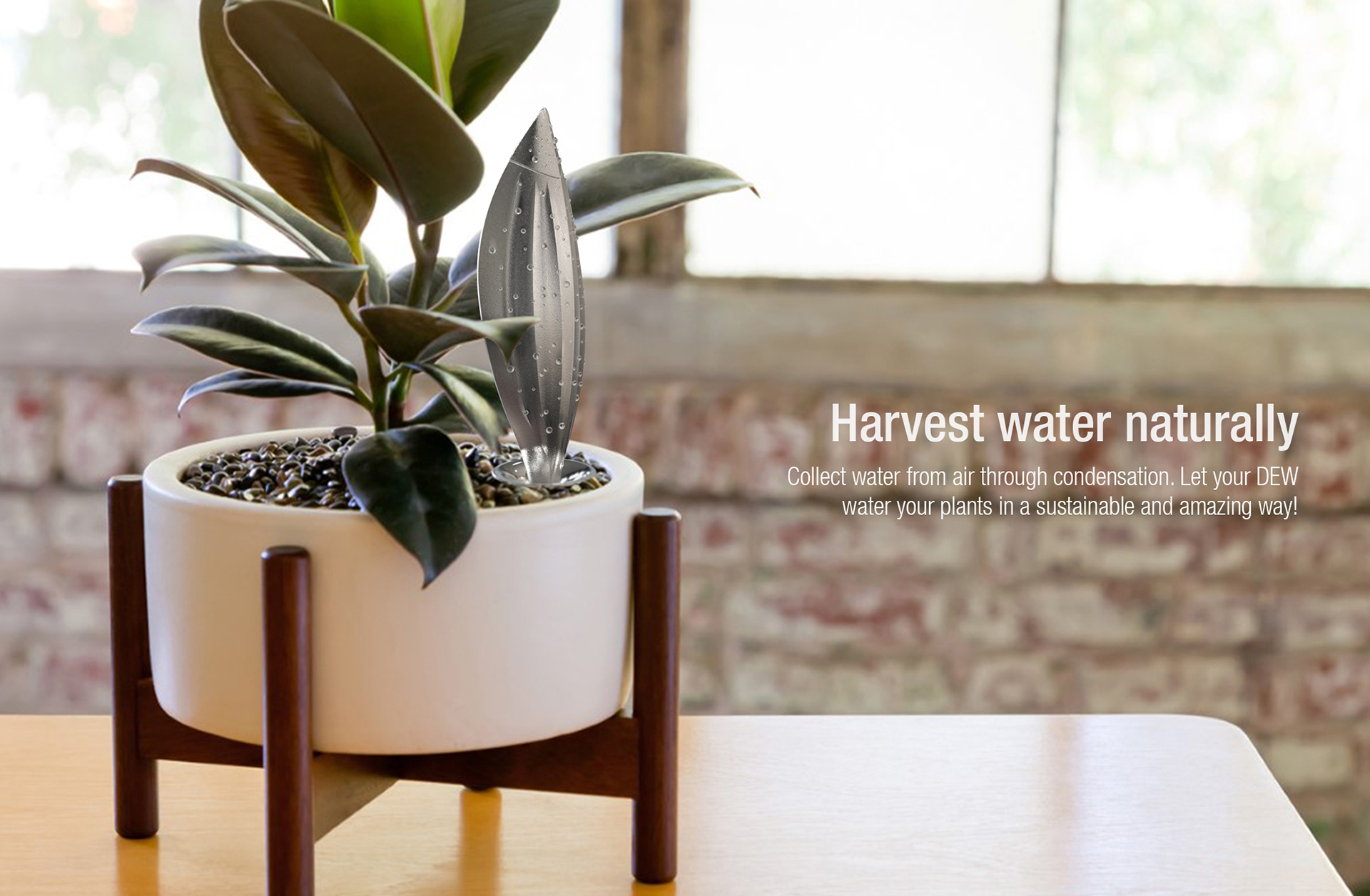 DEW，Planting water reservoir，Metal，