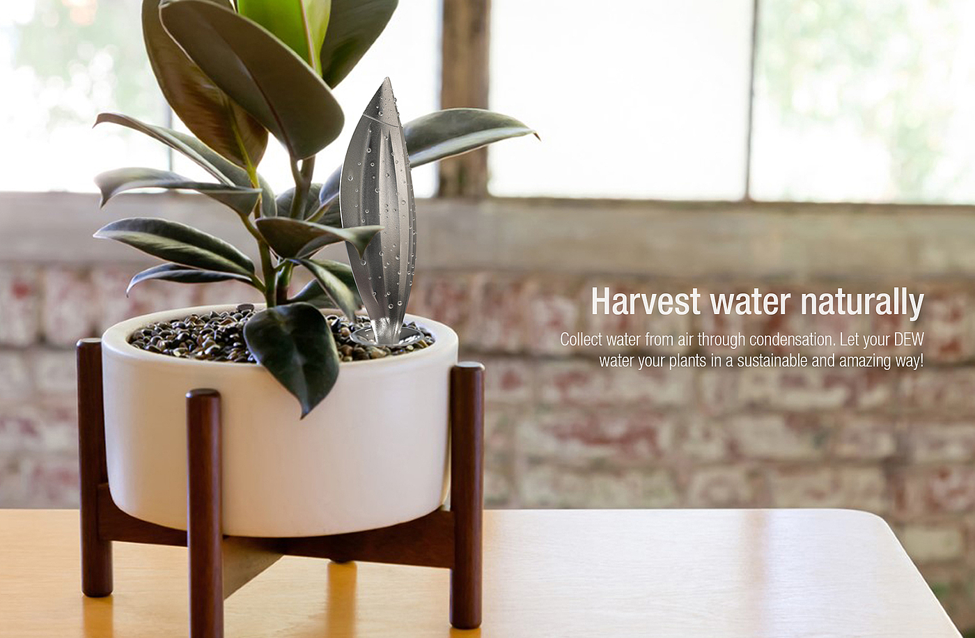 DEW，Planting water reservoir，Metal，
